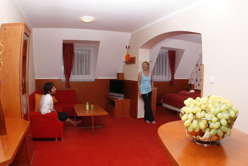 Wellness Hotel Diana Velké Losiny Rom bilde